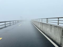 -江南天池