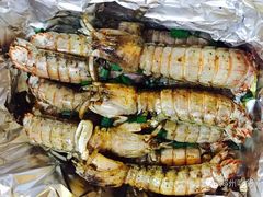 -猫姑娘大盘鸡(商城路店)