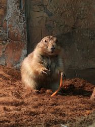 -Zoolung Zoolung动物主题公园(海信广场店)