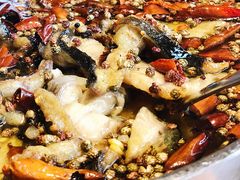 -望京一号·重庆江湖菜(工体店)