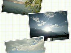-才村湿地公园