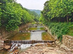 -广州白江湖森林公园