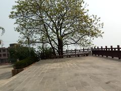 -哈尼梯田美食土菜馆