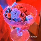 长沙江边巨巨巨出片Bar‼️我终于打卡了‼️