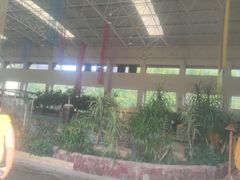 -韶关经律论国际酒店温泉