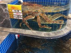 -骏莱海鲜鱼港(五角场店)