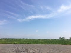 -盐城丹顶鹤湿地生态旅游区
