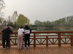 -东郊湿地公园
