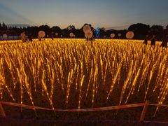 -歌斐颂巧克力小镇