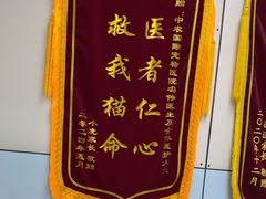 -中农国际动物医院24小时·猫科·骨科·急重症中心