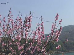 -白马涧龙池景区