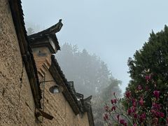 -杨家堂村