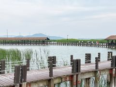 -苏州太湖湖滨国家湿地公园