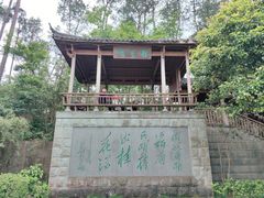 -千岛湖东南湖区