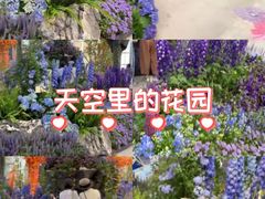 -望湖公园