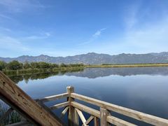 -野鸭湖国家湿地公园