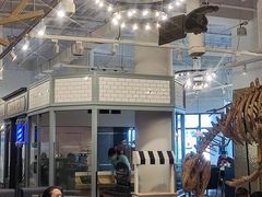 -FAIRYLAND龙族星球主题餐厅(凯丹广场店)