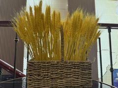 -华夏良子·足道SPA艾灸(铁道大厦店)