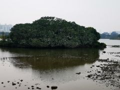 -海珠湖公园
