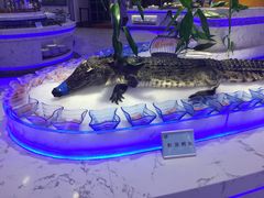 -澜悦港海鲜体验主题餐厅