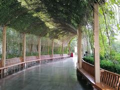 -郑州方特梦幻王国