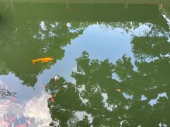 -西泠印社