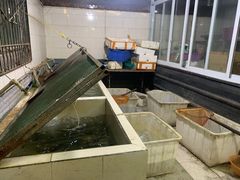 -苏记溪河鲢鱼庄(天府新区店)