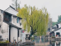 -绍兴鲁迅故里·沈园景区