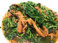 金花菜蚌肉-金典银峰老鹅馆·昆山菜(亭林公园店)