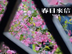 -莫愁湖公园