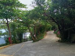 -海南分界洲岛旅游区