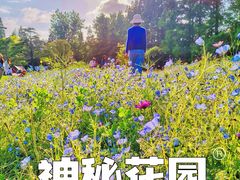 -上海滨江森林公园
