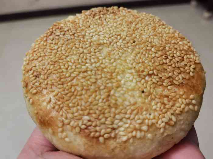 盛亿隆烧饼-"[薄荷]环境:在南北的济齐路上,济南也有.