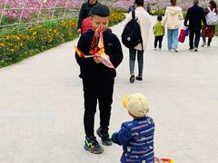 -秀丽东方