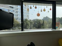 -泰康拜博口腔(世博园乐尔店)