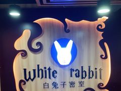 -白兔子密室(长寿路店)