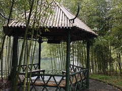 -上海共青森林公园