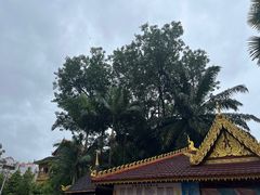 -西双版纳总佛寺