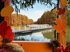 -上海海湾国家森林公园