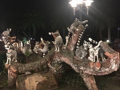 -清迈夜间动物园