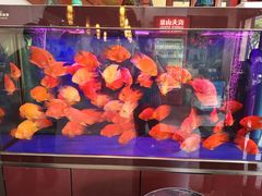 -钱万兴(塔园路店)