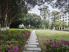 -厦门大学(思明校区)