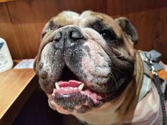 -稻前Taoki(方圆荟店)