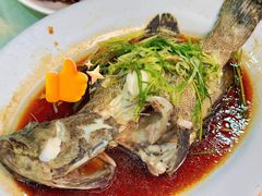 -美居大酒楼(美居广场店)