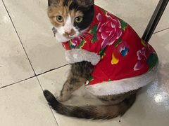 -2烧烤串·秘制鲫鱼
