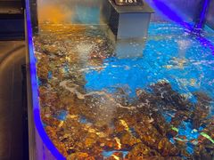 -同庆楼(华强吾悦广场店)