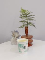 -VE专注问题肌·赛诺龙&科学美肤中心