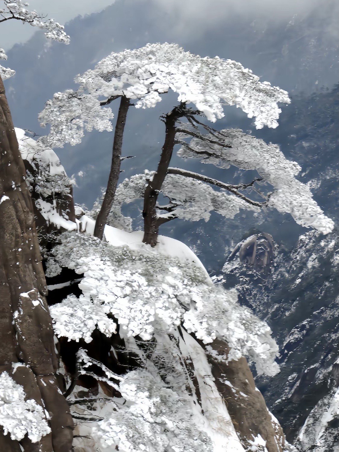 游黄山雪景美篇图片