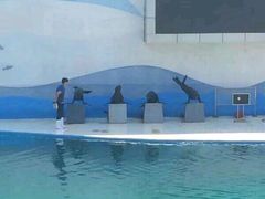 -北戴河圣蓝海洋公园