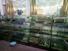水产区-四海鲜渔家菜(黄金海岸店)